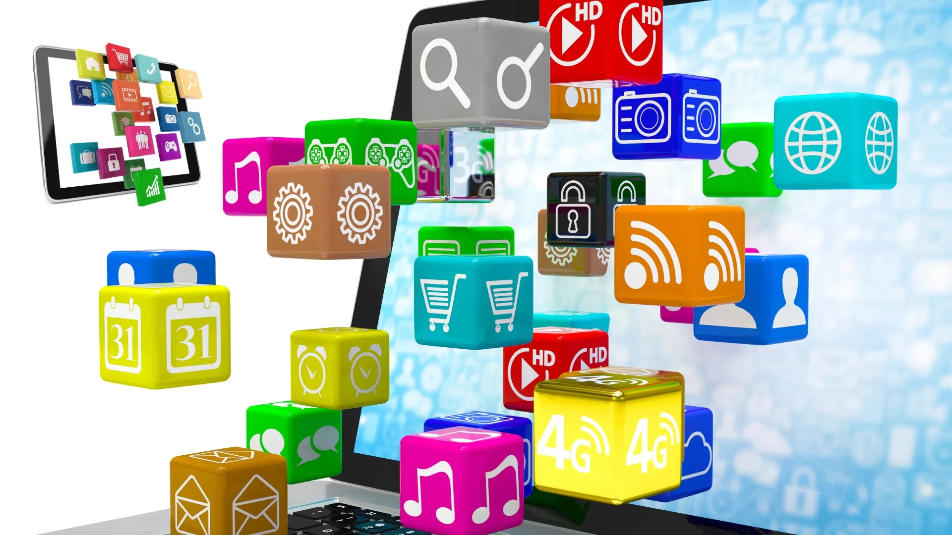 Software / Hardware Installation